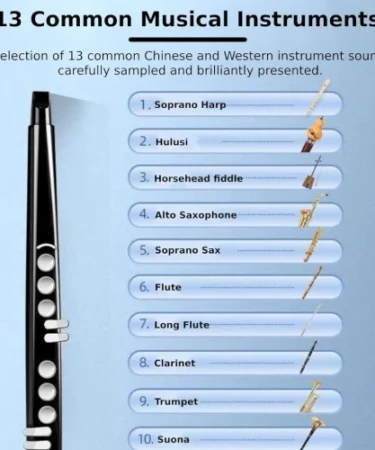 Saxophone Electronic Wind Instrument Bora BRS56 13 Tones 1.1