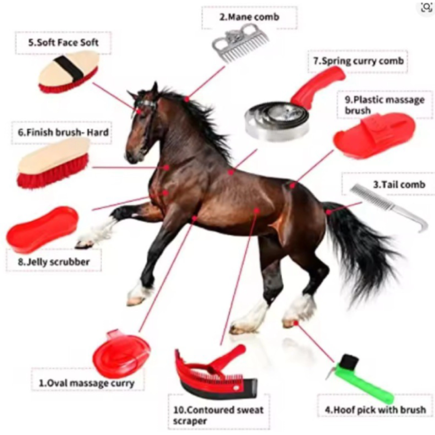 Sikat-Hoof-Pick-Brush-Pembersih-Cleaning-Kuku-Nail-Cavassion-Gel-2in1-1.5