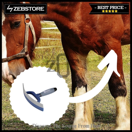 Sweat-Scraper-Pembersih-Keringat-Grooming-Horse-Kuda-Cavassion-Gel-Pad.