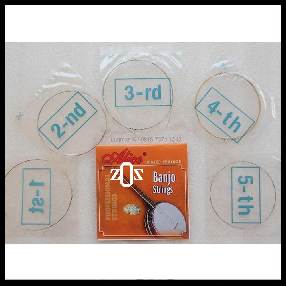 Senar Banjo Alice AJ05