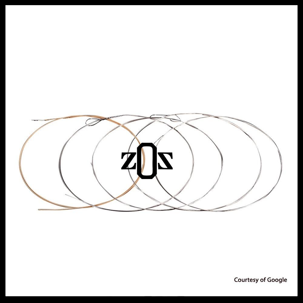 Senar Banjo Alice AJ05