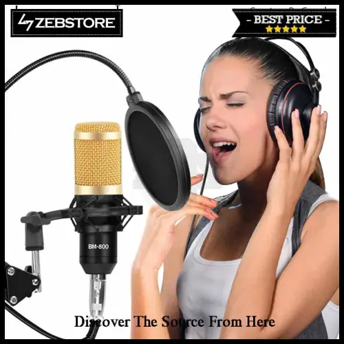 Microphone Condenser BM-800 Scissor Arm Stand Phantom Power Filter Set