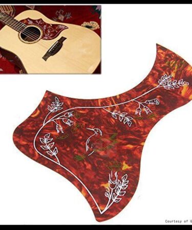 Pickguard Acoustic Bird Eye