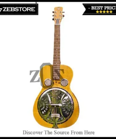 Guitar Dobro Resonator Screen Cones Soundhole Tailpiece Chrome