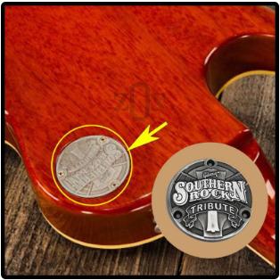 Neck Plat Plate Gitar Guitar Switch Gibson Southern Rock Tribute